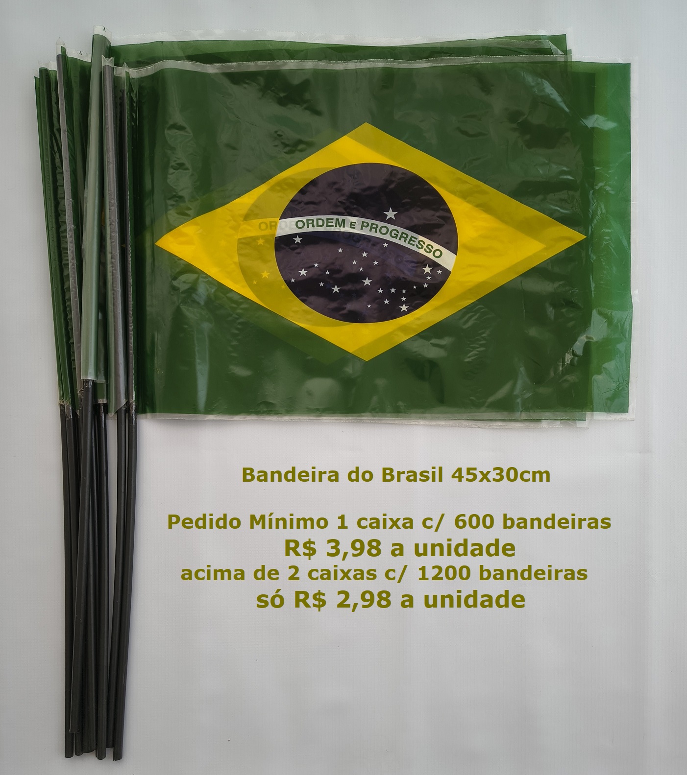 AGBR - BANDEIRA JUNINA 30.jpg